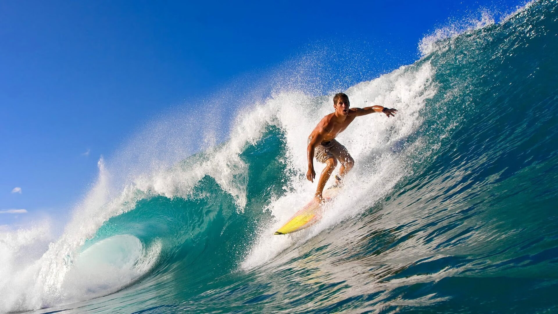 “高原极速：雪山巅峰的生命竞速”，雪山高地
